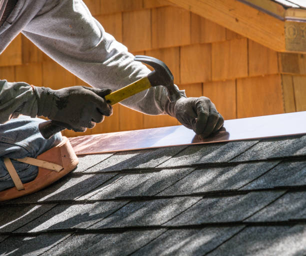 Roof Gutter Cleaning in Kings Bay Base, GA